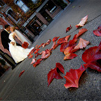 wedding photographer wedding photography halifax nova scotia